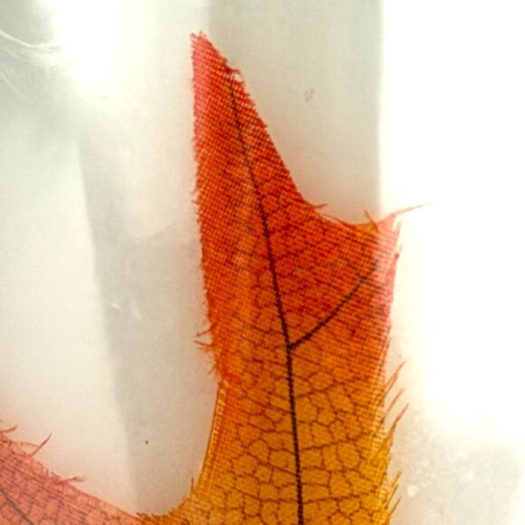 2 New Fall Leaf Pillar Candle Set – 9” Tall Autumn Decor, New in Original Wrap - Picture 4 of 6